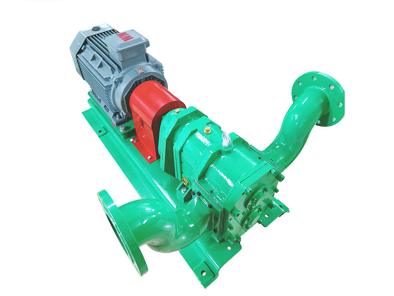 Biogas rotary lobe pump